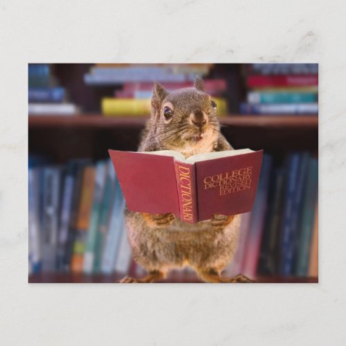 Smart Squirrel Reading a Dictionary Postcard