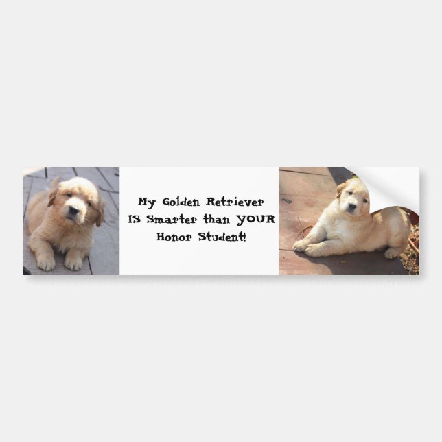 smarter than an honor student bumper sticker (Front)