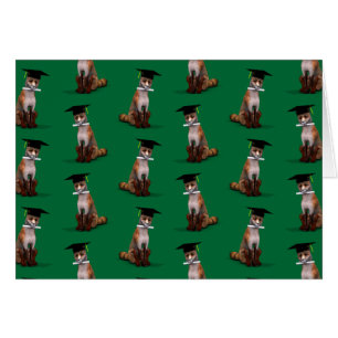 Smartest Fox In Town Cards