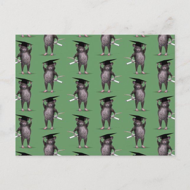 Smartest Rat In Town Postcard (Front)