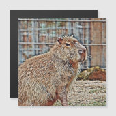 SmartMix Animal- Capybara (Front/Back)