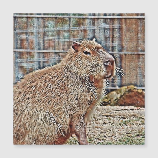 SmartMix Animal- Capybara (Front)