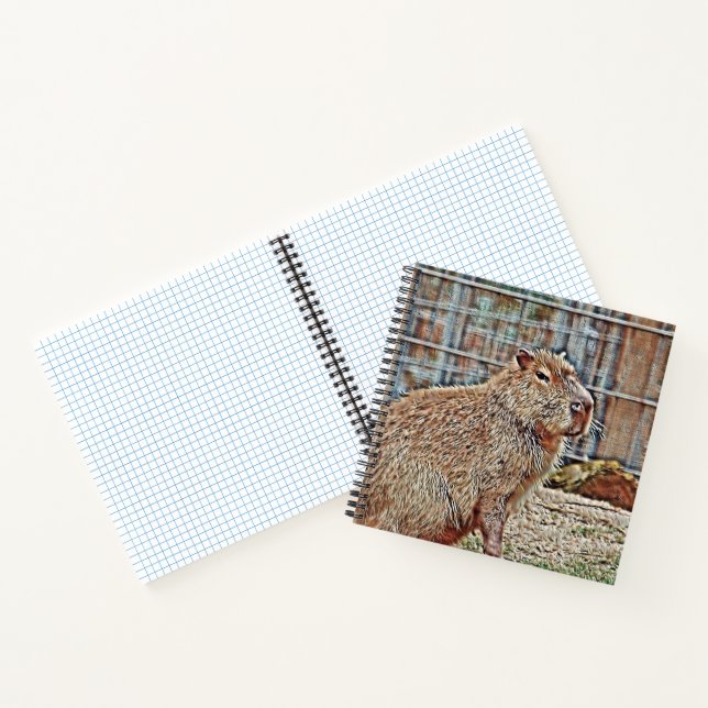 SmartMix Animal- Capybara Notebook (Inside)
