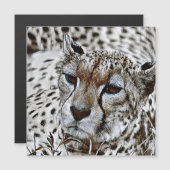 SmartMix Animal- Cheetah  2 (Front/Back)