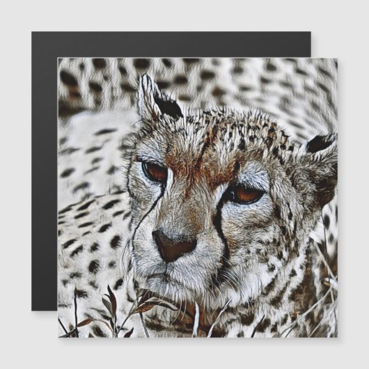 SmartMix Animal- Cheetah  2 (Front/Back)