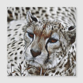 SmartMix Animal- Cheetah  2 (Front)