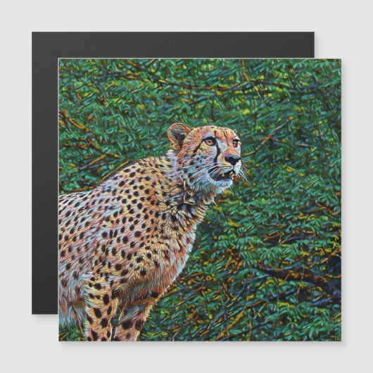 smartmix animal- cheetah 6 (Front/Back)