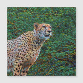 smartmix animal- cheetah 6 (Front)