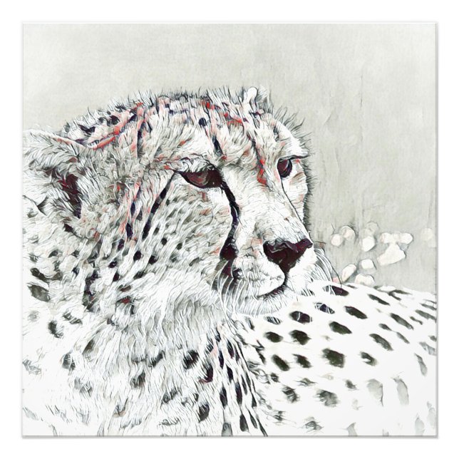 smartmix animal- cheetah photo print (Front)
