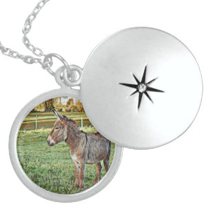 smartmix animal- donkey 1 locket necklace