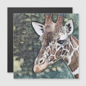 SmartMix Animal- Giraffe (Front/Back)