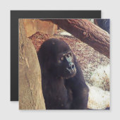 SmartMix Animal-Gorilla (Front/Back)