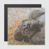 smartmix animal -gorilla 3 (Front/Back)