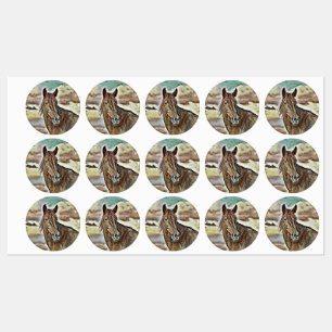 smartmix animal- horse 2 labels