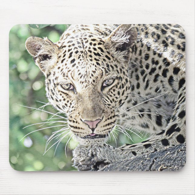 smartmix animal-leopard 2 mouse pad (Front)