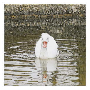 SmartMix Animal- Swan Poster