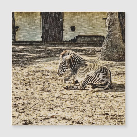 smartmix animal -zebra (Front)