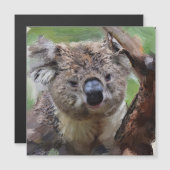 SmartMix Koala 1220 (Front/Back)