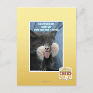Smartmouth cat postcard