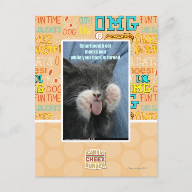 Smartmouth cat postcard (Front)