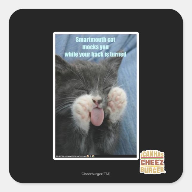 Smartmouth cat square sticker (Front)