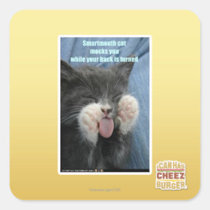 Smartmouth cat square sticker