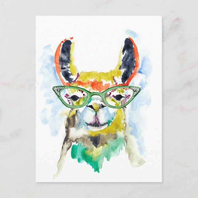 Smarty-Pants Llama Postcard (Front)
