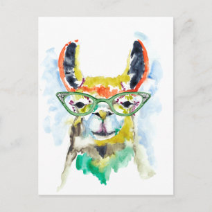 Smarty-Pants Llama Postcard
