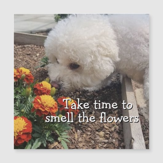 Smell the Flowers (Front)