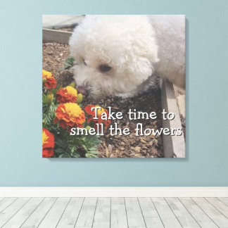 Smell the Flowers  Canvas Print