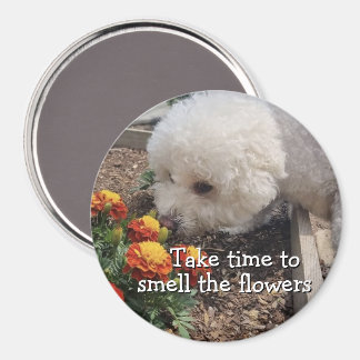Smell the Flowers Magnet