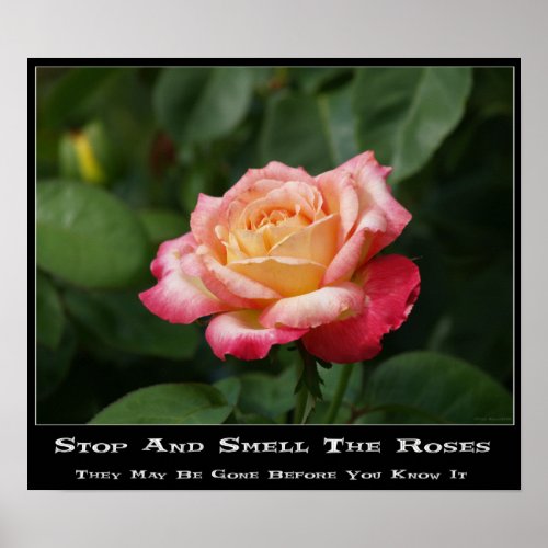 Smell The Roses Poster