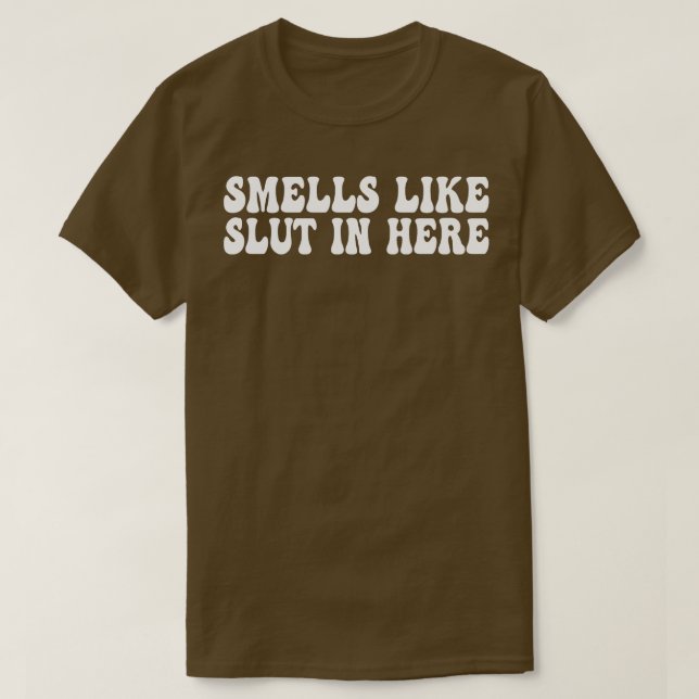 smells like in here Offensive Funny Adult Humor 14 T-Shirt (Design Front)