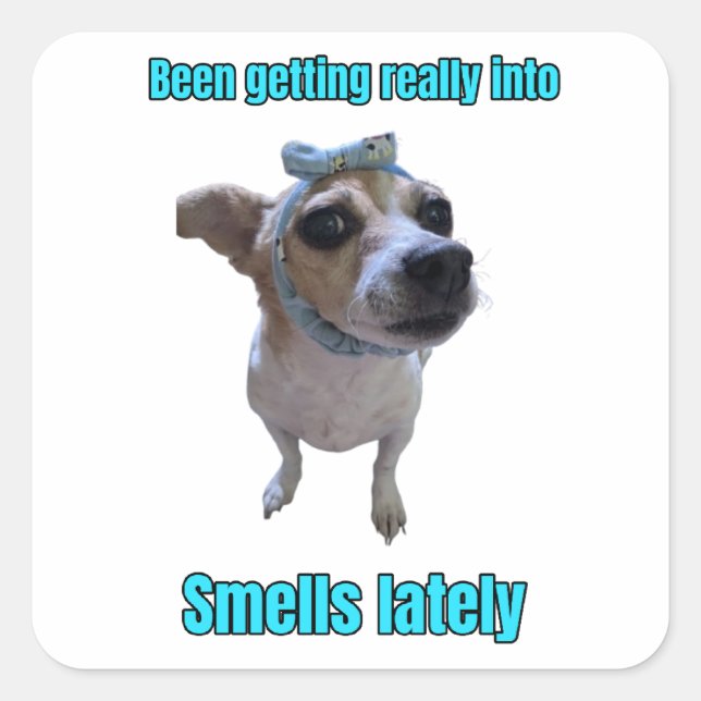 Smells sticker (Front)