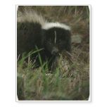 Smelly Skunk Temporary Tattoos