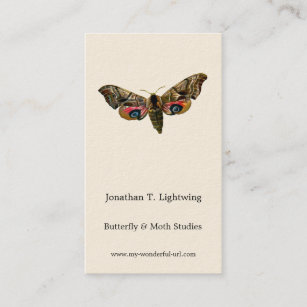 Smerinthus ocellata - Eyed Hawk-Moth Color Image B Business Card