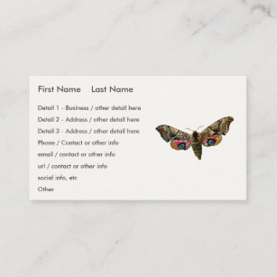 Smerinthus ocellata - Eyed Hawk-Moth Color Image B Business Card