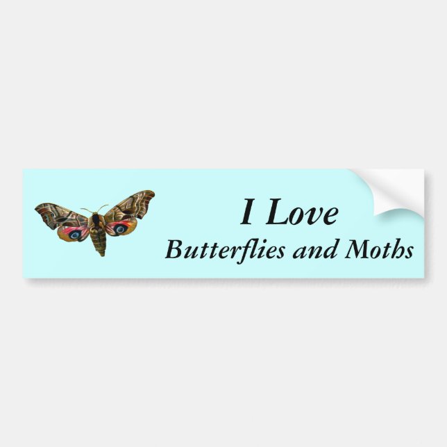 Smerinthus ocellata - Eyed Hawk-Moth - Color Image Bumper Sticker (Front)