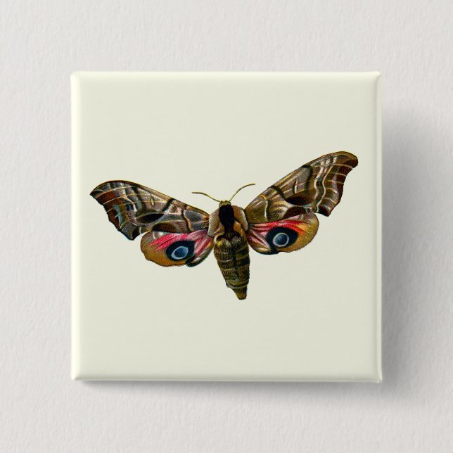 Smerinthus ocellata - Eyed Hawk-Moth - Color Image Button (Front)