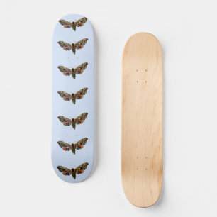 Smerinthus ocellata - Eyed Hawk-Moth Color Image Skateboard