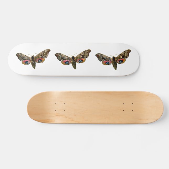 Smerinthus ocellata - Eyed Hawk-Moth Color Image Skateboard (Horz)