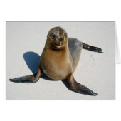 Smile (Front Horizontal)