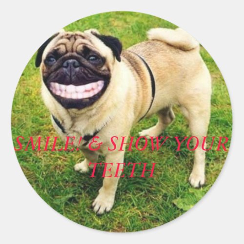 smile and show your teeth funny sticker with dog