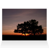 SMILE AWHILE (Inside Horizontal (Top))