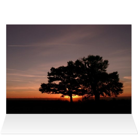 SMILE AWHILE (Inside Horizontal (Top))