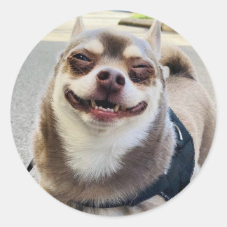 Smile Big Huey Classic Round Sticker