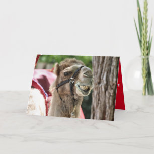 Smile Card