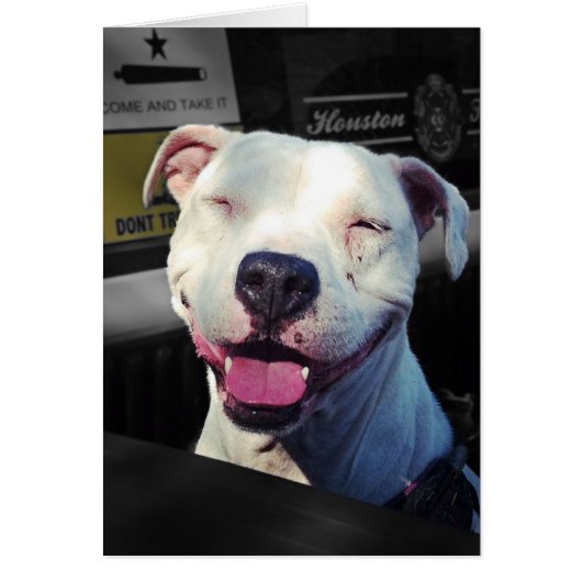 Smile Cards (Front)
