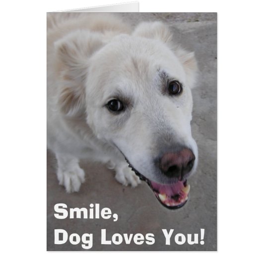 Smile, Dog Loves You! Card (Front)