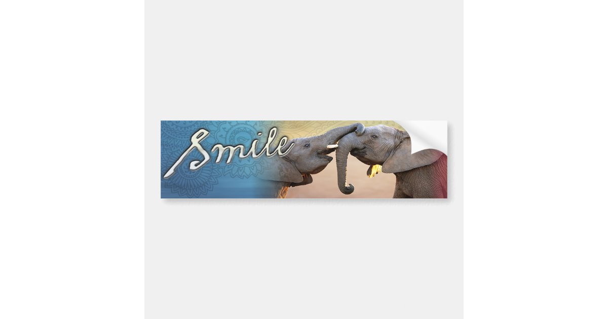 SMILE ELEPHANT BUMPER STICKER Zazzle
